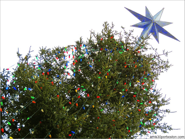 El Árbol de Navidad del Boston Common