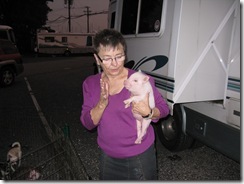 IMG_3990 IMG_3990