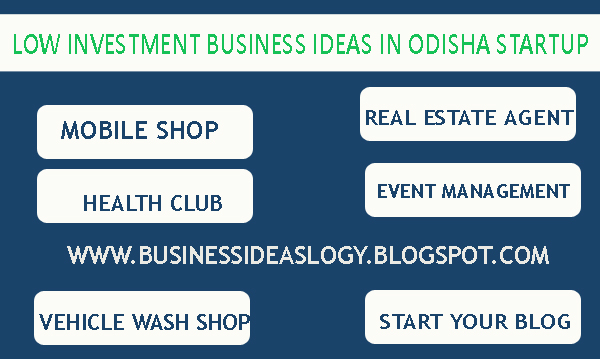 small business ideas, 26 low investment business ideas in odisha