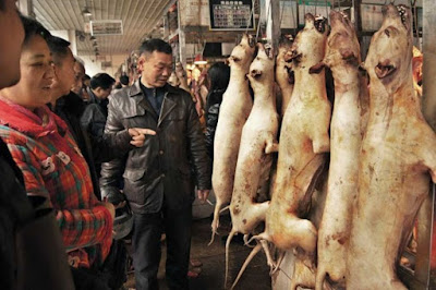 china wet market, china wet market coronavirus, china wet market hygiene, china wet markets disgusting, chines virus, Chinese Street Food, cobid-19, coronavirus, meat market in china