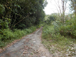 Unnamed Road, Tambon Lam Kaen, Amphoe Thai Mueang, Chang Wat Phang-nga 82210