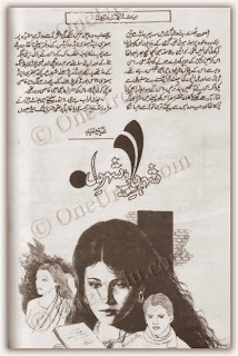 Shehar e yar shehar e dil by Aneeza Sayed.