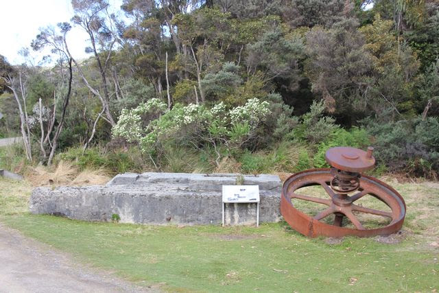 Fly wheel from old Cockle Creek timber mill