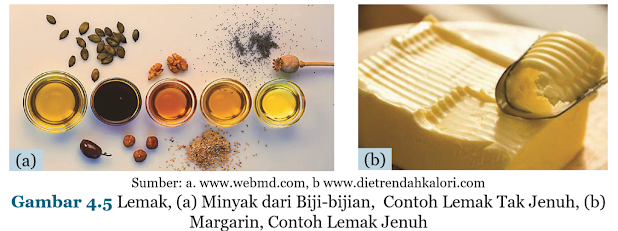 Gambar Lemak, (a) Minyak dari Biji-bijian,  Contoh Lemak Tak Jenuh, (b) Margarin, Contoh Lemak Jenuh