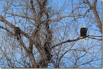 IMG_6305 IMG_6305