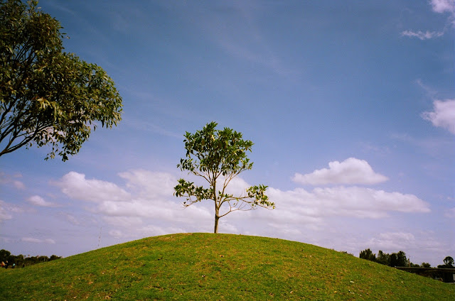 Blaxland Riverside Park Sydney Natura Classica Fujifilm Natura1600