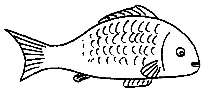 clip art fish. About Me