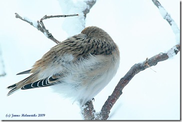 SNBU_sleep1_5599