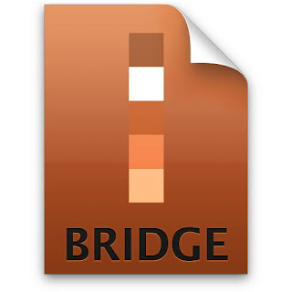 Photoshop CS5 with Adobe Bridge