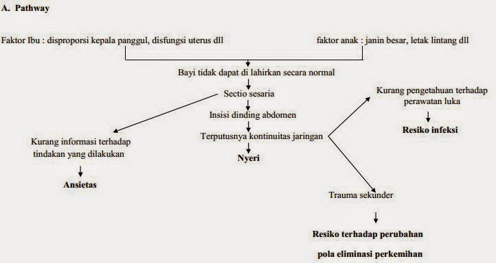 Contoh askep Sesar ~ Blog Kesehatan