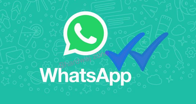 Hide Whatsapp blue tick 