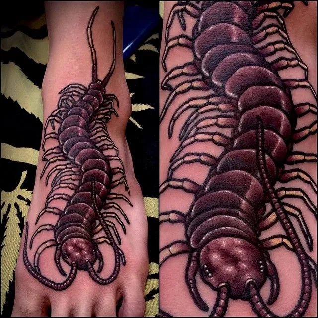 Tatuaje de cienpies