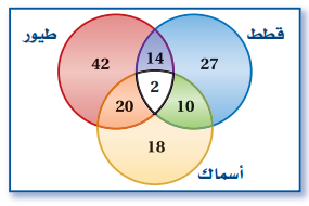 حل دليل الدراسة والمراجعة ( التبرير والبرهان )