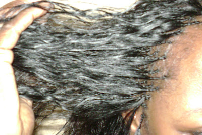 Individual tree braids/ Lacing