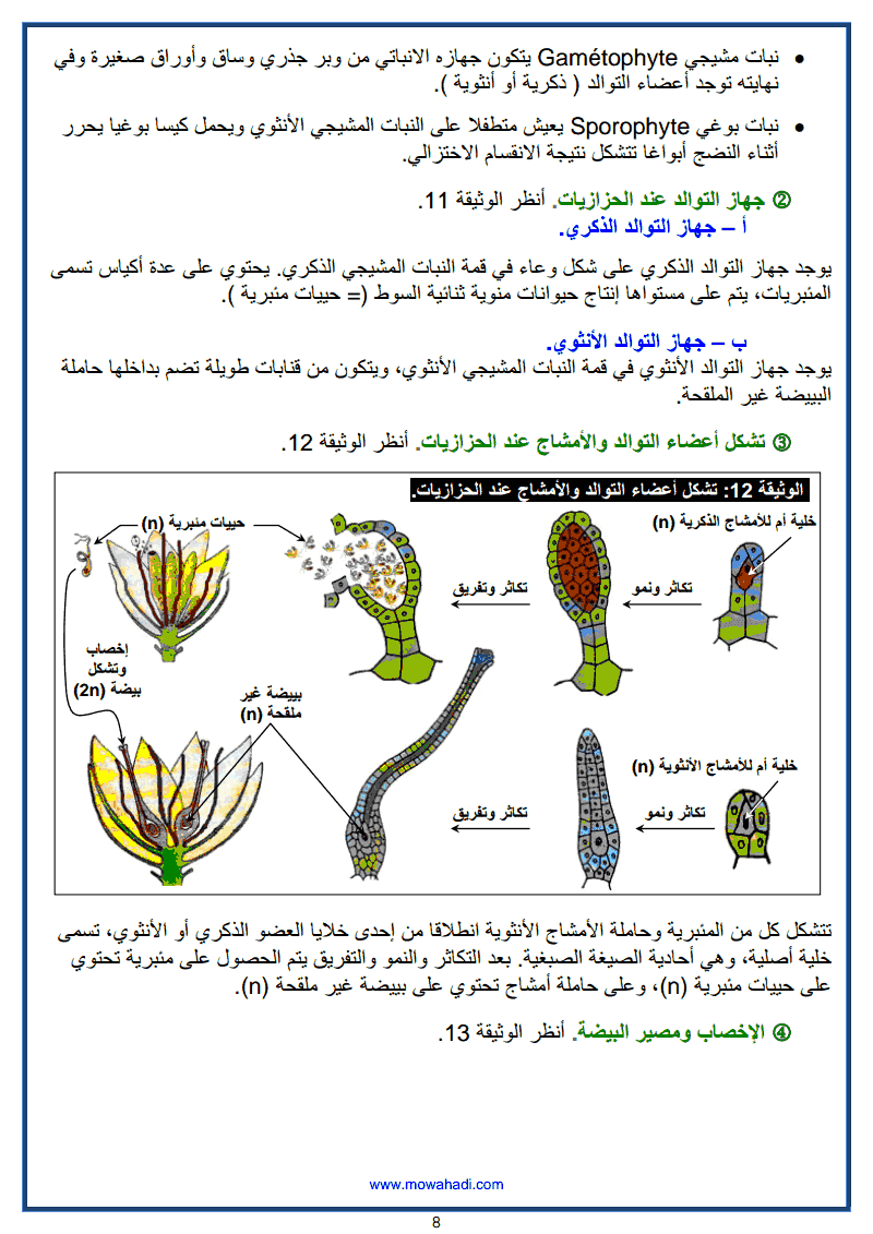 8 التوالد الجنسي عند النباتات اللازهرية