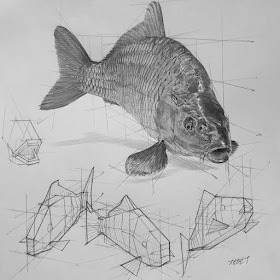 10-Carp-tutorial-Animal-Pencil-Drawings-Anjjaemi-www-designstack-co