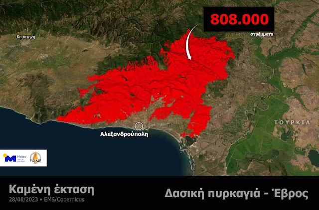 Πάνω από 800.000 στρέμματα δάσους έχουν καεί μέχρι στιγμής στον Έβρο