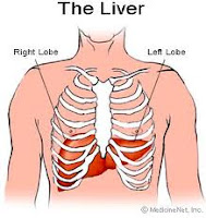 penyakit liver
