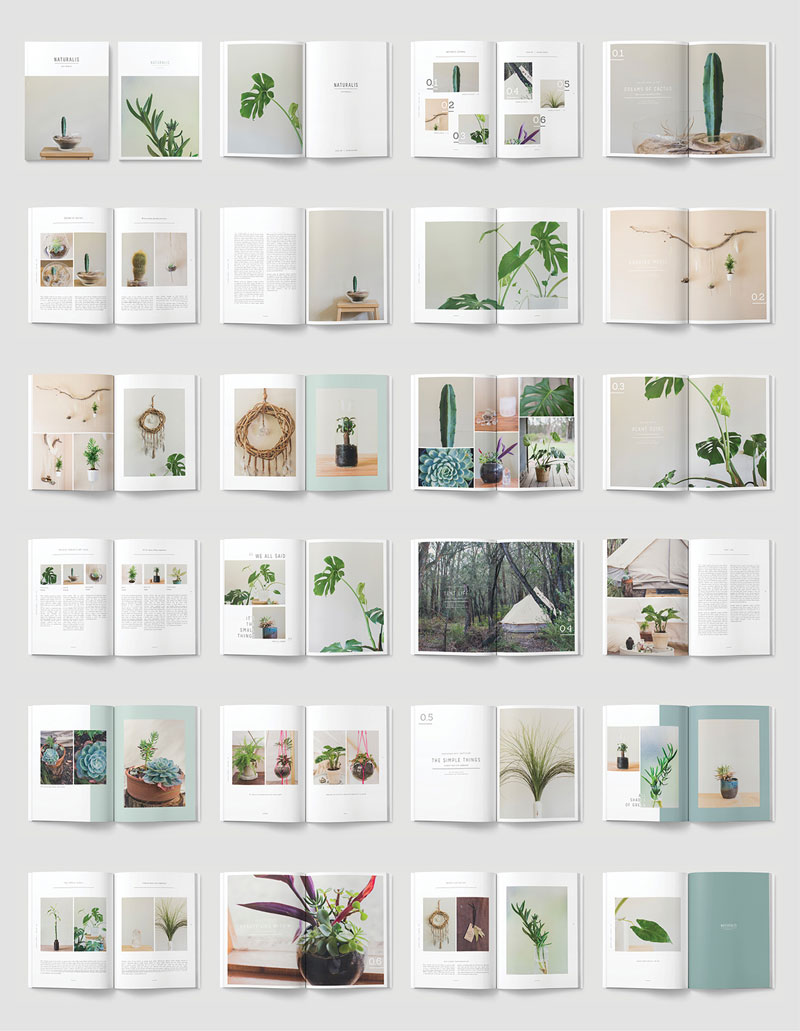 Inspirasi 20+ Desain Brosur dan Katalog Modern - NATURALIS Lookbook Brochure Template