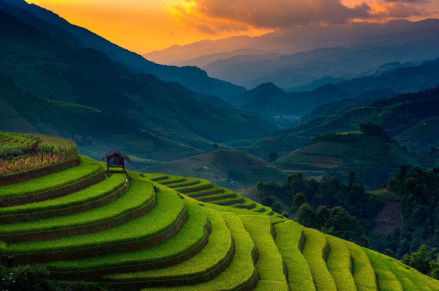 Travel Guide For A Perfect Trip To Mu Cang Chai, Vietnam 2