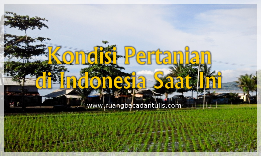 Ruang Baca dan Tulis Kondisi Pertanian di Indonesia Saat Ini