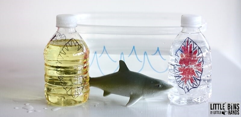 how do sharks float? Buoyancy science experiment