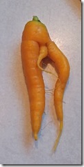 giftedcarrot2018