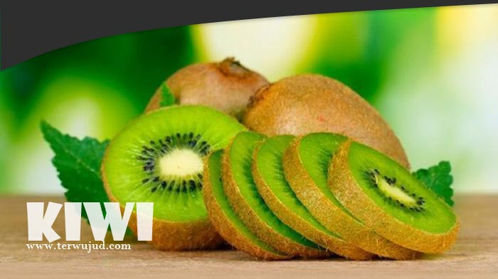 uah kiwi  atau hanya disebut kiwi merupakan buah yang sangat indah 7 Khasiat Buah Kiwi untuk Kesehatan, Nomor 1 dan 4 wajib tahu !