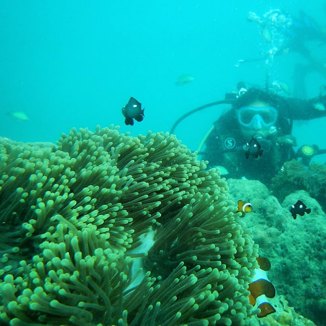 Ri(t)ch Styles Travels Scuba Diving Andamans Havelock Island