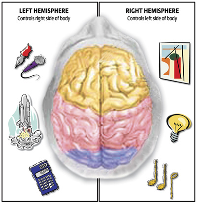 Brain Right And Left Side Functions2