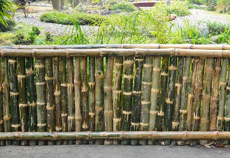  Gambar Desain Pagar Dari Bambu Contoh O