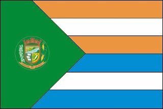 Bandeira de Aparecida do Rio Doce GO