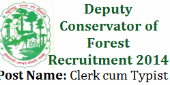 Clerk cum Typist Jobs - Forest Department 2014