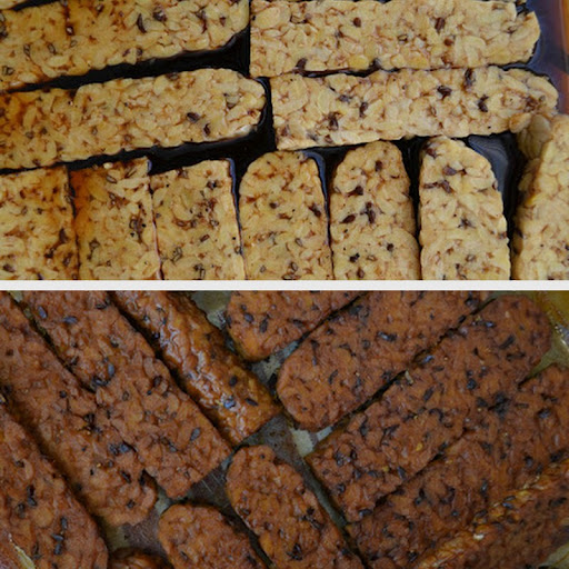 Tempeh Collage