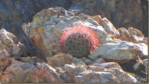 Mt. Wassen hike_085
