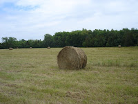 hay bales