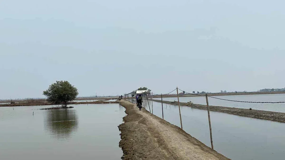 tanjung pakis hari ini