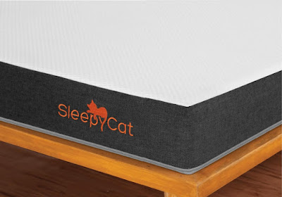 best Orthopedic mattress in India