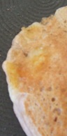 DSCF3789