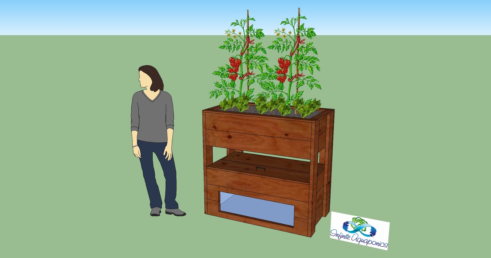 Home Aquaponics Diy : Aquaponics And The Basic Increasing ...