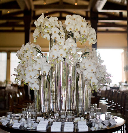  so I'm thinking about using orchids as centerpieces at my wedding