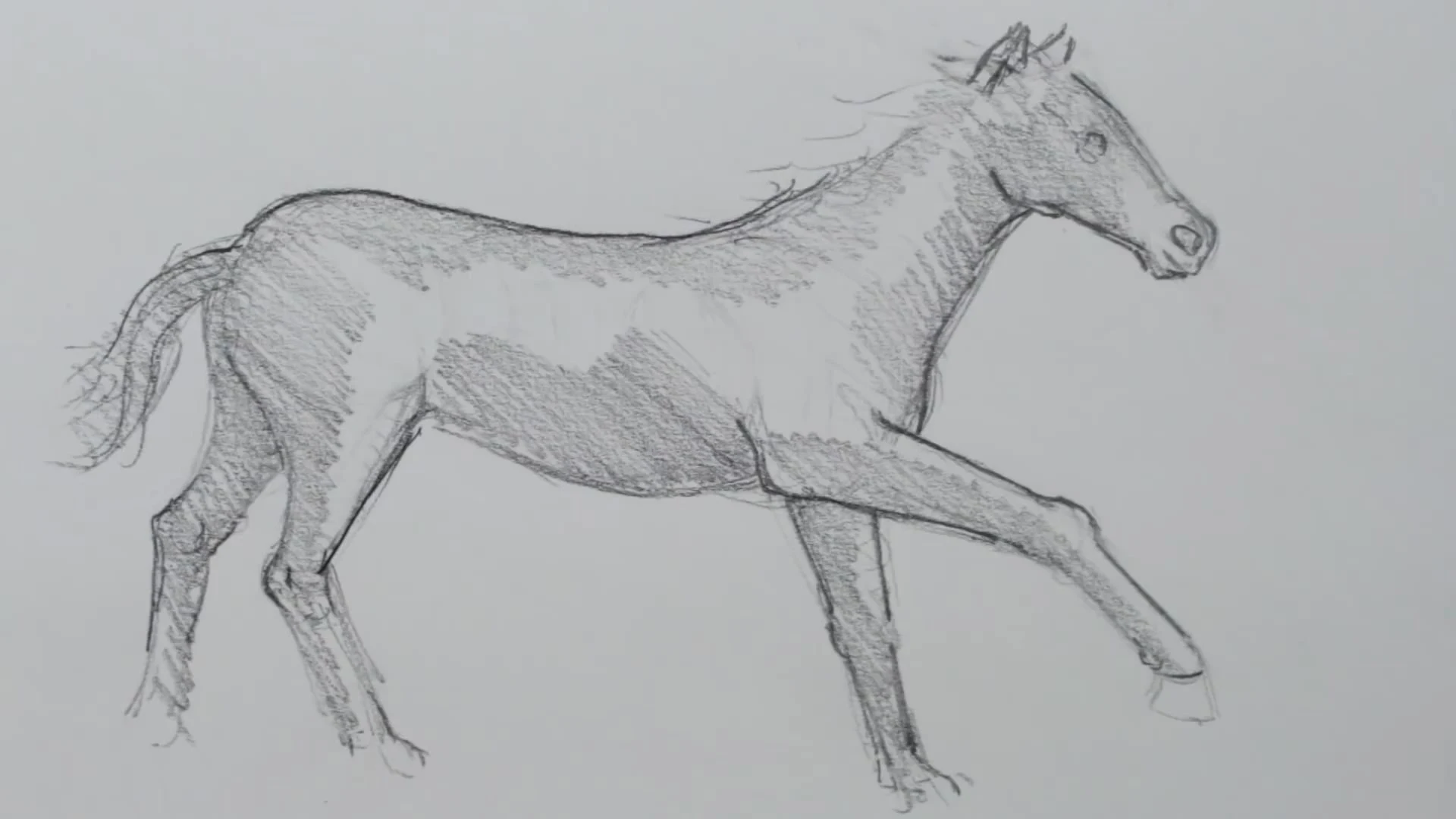 رسم حصان بالرصاص
