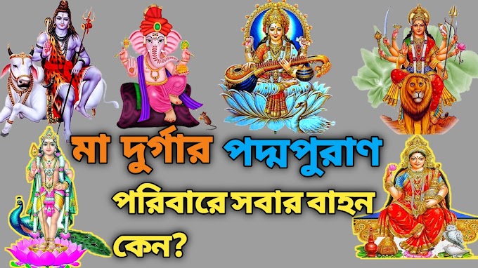 মাতা দুর্গার পরিবারের বাহনের তাৎপর্য | Durga Puja 2021 || পদ্মপুরাণ জেনে নিন,