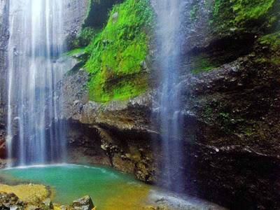 air terjun madakaripura,paket wisata bromo madakaripura,wisata bromo madakaripura,wisata air terjun madakaripura,lokasi air terjun madakaripura,wisata madakaripura,madakaripura air terjun,bunaken,bromo madakaripura,air terjun madakaripura bromo,madakaripura bromo,madakaripura waterfall,foto air terjun madakaripura,jalan menuju madakaripura,madakaripura probolinggo,air terjun madakaripura probolinggo,sejarah air terjun madakaripura,air terjun madakaripura probolinggo jawa timur,air terjun madakaripura jawa timur,air terjun madakaripura di probolinggo,berita madakaripura,madakaripura waterfall probolinggo,peta air terjun madakaripura probolinggo,wisata air terjun madakaripura probolinggo