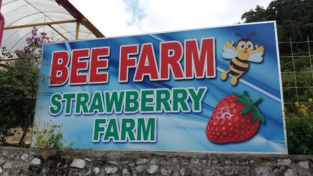 Bee Farm Strawberry Farm