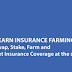 YIF Yearn Insurance Farming