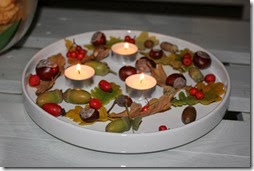 IMG_7850