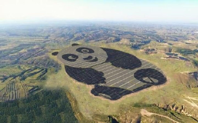 Panda power! China is building the world's cutest solar station