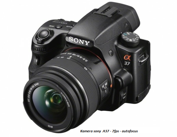 Harga Kamera Sony A37 Dan Spesifikasi