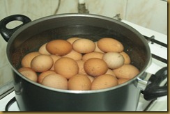 eggs
